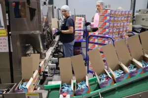 К 2028 году в индустриальном парке «Пестрецы» создадут 500 рабочих мест