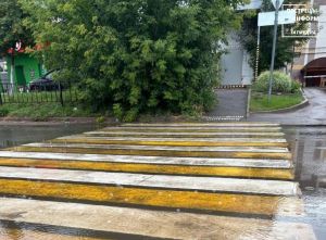 В МЧС предупредили о сильном ветре и грозе, ожидающихся 13 августа