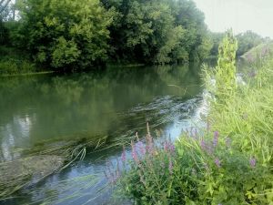 В Пестречинском районе прогнозируется переменная облачность