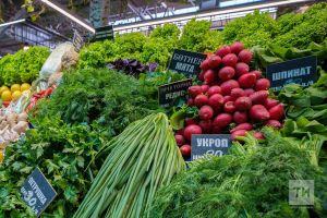 Диетолог рассказала, какие растительные продукты улучшают память