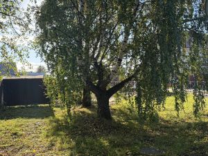В Пестречинском районе сохранится сохранится тёплая и сухая погода