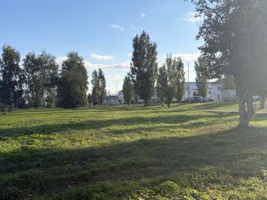 В Пестречинском районе сохранится тёплая погода