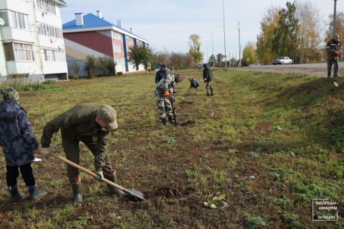 В Пестрецах посадили около 500 деревьев