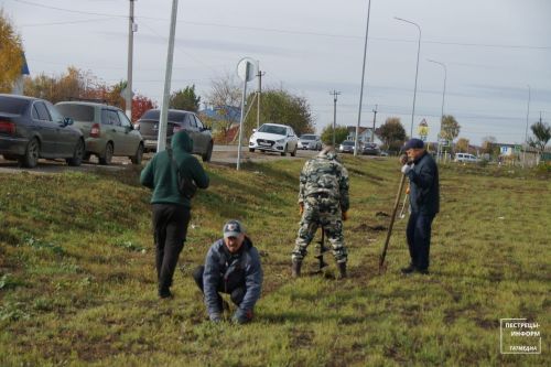 В Пестрецах посадили около 500 деревьев