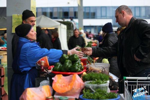 В Татарстане за неделю подешевели яблоки, огурцы и соль