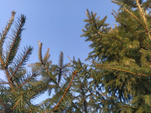 В Татарстане ожидается похолодание в ближайшие дни