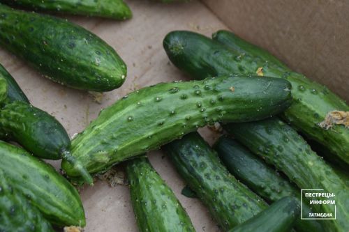 Сколько стоят продукты на пестречинской ярмарке