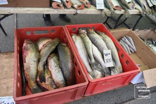 Сколько стоят продукты на пестречинской ярмарке
