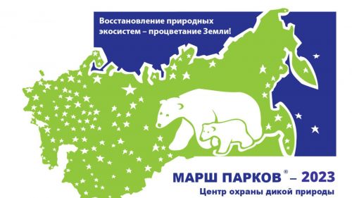 Пестречинские школьники могут принять участие в Международной акции «Марш парков»