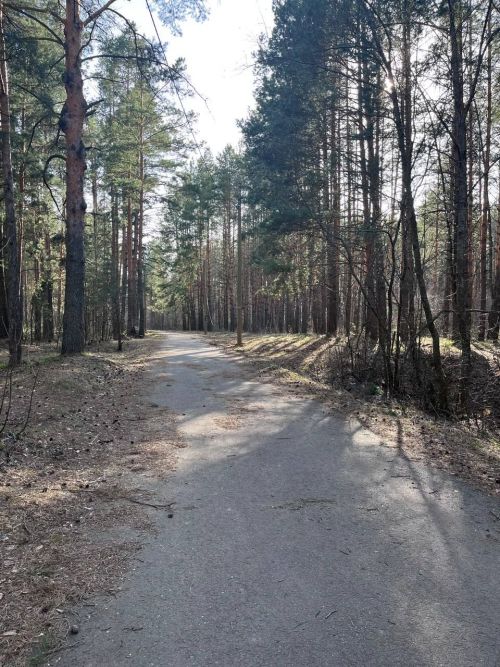 Татарстанцам на три недели ограничили пребывание в лесах