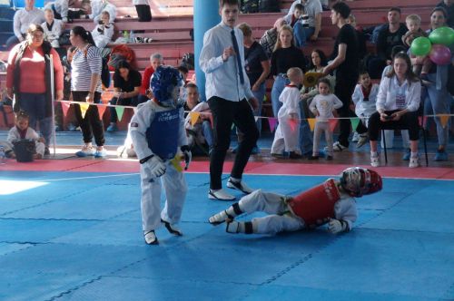 Спортивные новости Пестречинского района