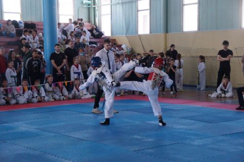 Спортивные новости Пестречинского района
