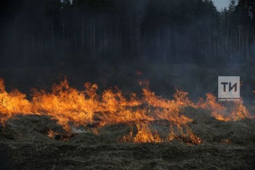 В Татарстане продлено штормовое предупреждение из-за опасности лесных пожаров
