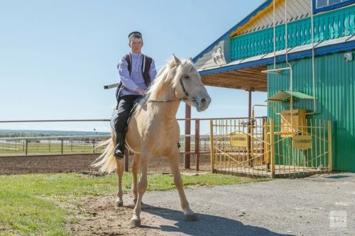 Конный пробег на лошадях татарской породы пройдет через Пестречинский район