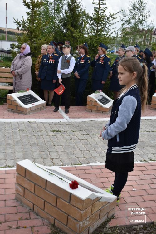 В селе Пановка на «Аллее Памяти» прошел торжественный митинг
