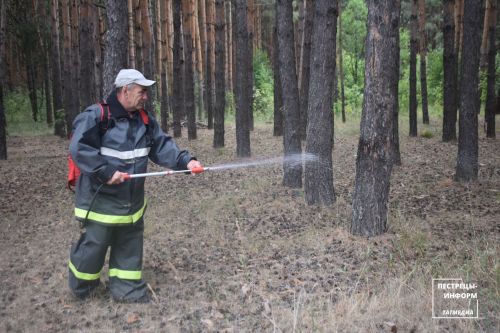 В Пестречинском районе продолжается пожароопасный период