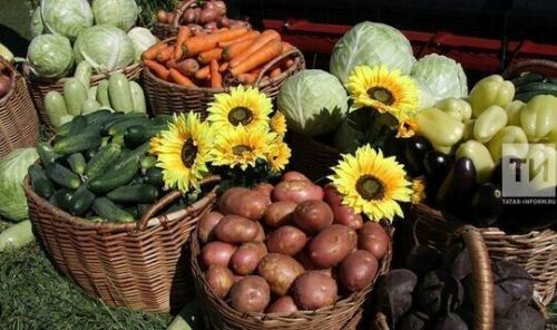 Роспотребнадзор назвал «продукты сентября»