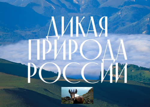Начал работу новый сайт об особо охраняемых природных территориях России