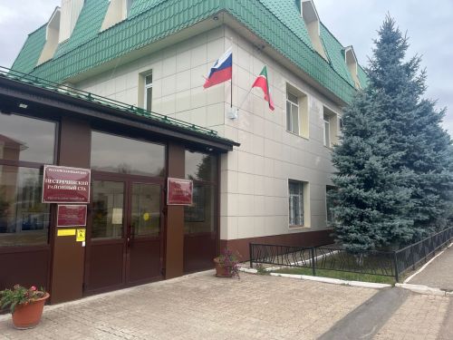 Пестречинский районный суд конфисковал у осужденной машину, купленную в кредит