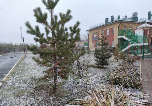 В Пестречинском районе прогнозируются до -3 градусов