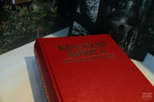 Новые виды растений и грибов включат в Красную книгу Татарстана