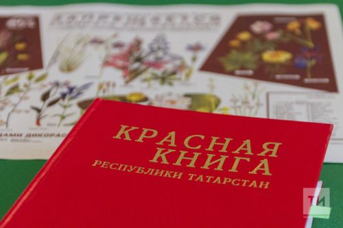Обнаружены пять новых для Татарстана видов животных, растений и грибов