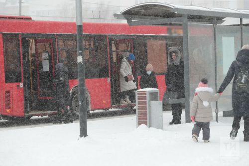 Кого нельзя высаживать из общественного транспорта