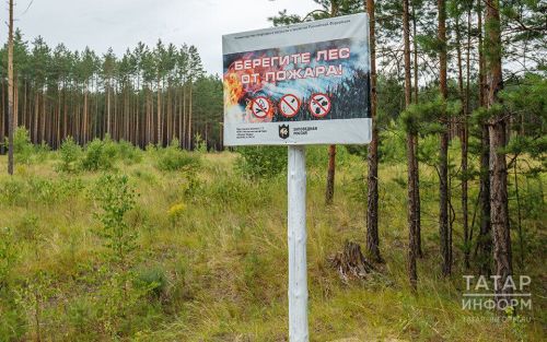 В Татарстане утвержден план охраны лесов и населенных пунктов от пожаров