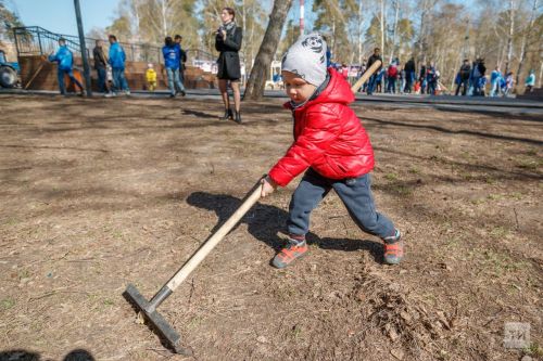 Что нужно успеть сделать в саду в последний месяц весны