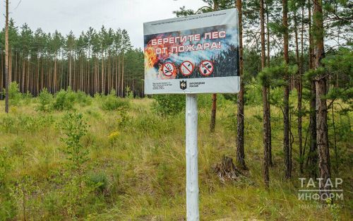 В Татарстане объявили штормовое предупреждение о высокой пожарной опасности