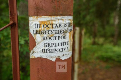 Минлесхоз Татарстана усилил противопожарные меры в лесах