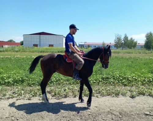 Педагог из Куюков в пятерке лучших чемпионата Азии по конному спорту