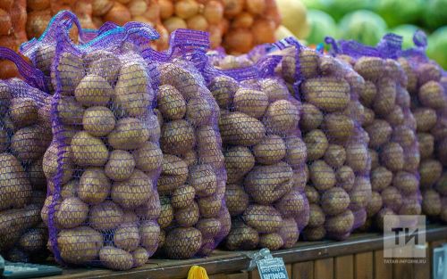 Картошка и огурцы в Татарстане подорожали сильнее всего в июле