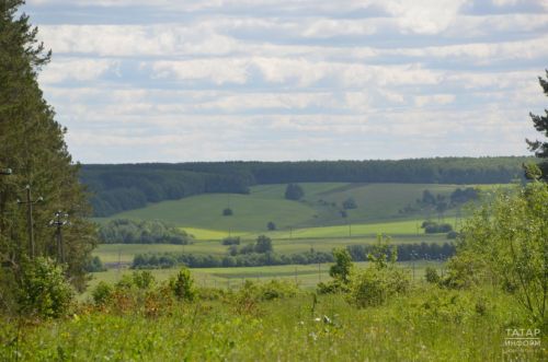 Спрогнозирована дата закрытия пожароопасного сезона в татарстанских лесах