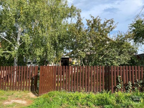 Календарь огородника: когда осенью нужно поливать деревья и кустарники на даче