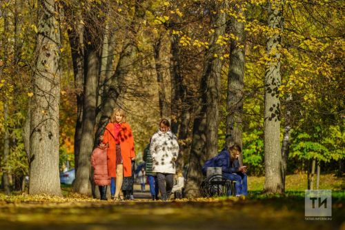 Из-за теплой погоды в Татарстане продолжается сезон клещей