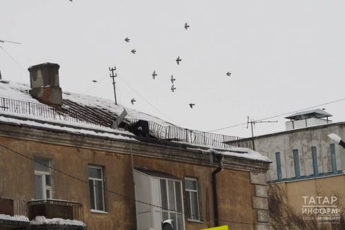 Татарстанцев предупредили о запрете размещения видео с атаками БПЛА