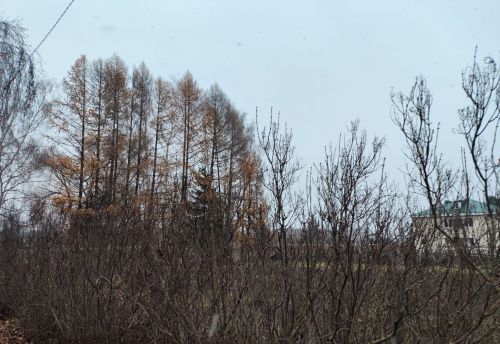 19 ноября в Пестречинском районе ожидается до +7 градусов