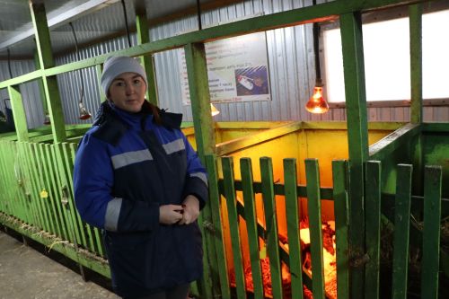 Как ветеринарные мероприятия в Пестречинском районе защищают стадо и бюджет