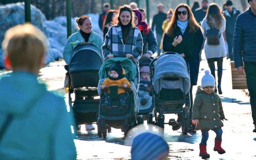 Какие льготы и выплаты положены многодетным семьям в 2025 году