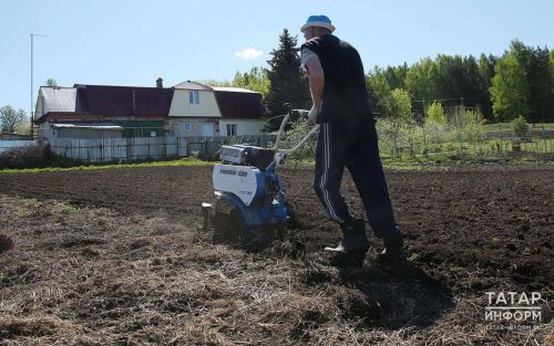 Владельцы заброшенных участков должны привести свою землю в порядок за 3 года