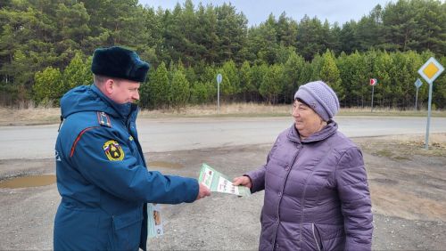 В Пестречинском районе объявлен пожароопасный сезон в лесах