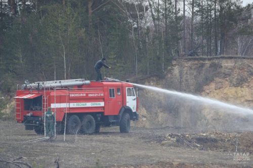 Объявлено штормовое предупреждение из-за высокой пожарной опасности лесов