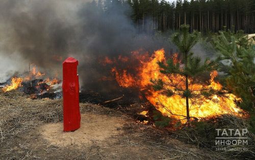 В Минлесхозе РТ напомнили о запрете на разведение костров и сжигание мусора