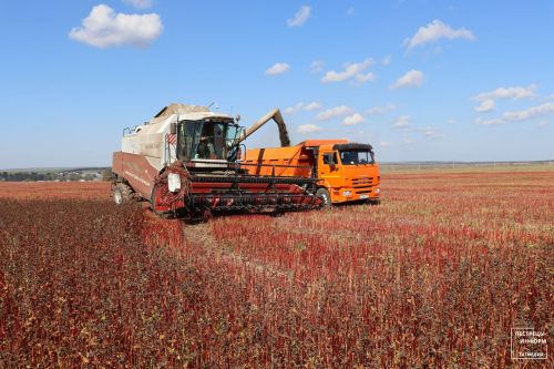 Уборочная страда в Пестречинском районе выходит на финишную прямую