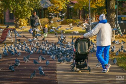 Как пестречинцам продлить ноябрьские праздники на 8 дней