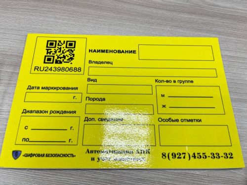 Обязательное чипирование животных: что нужно знать владельцам в Пестречинском районе