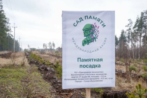 В Татарстане ведется подготовка к Международной акции «Сад памяти»
