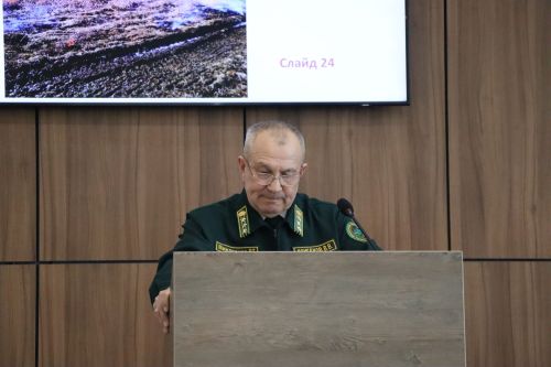 Лесных пожаров за 2025 год в Пестречинском районе не допущено