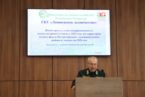 Лесных пожаров за 2025 год в Пестречинском районе не допущено
